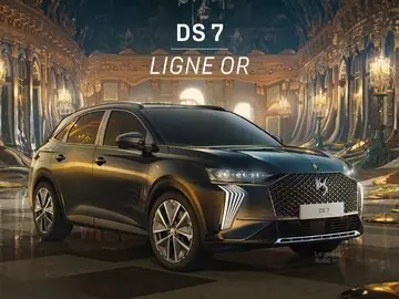 دي إس 7 LIGNE OR