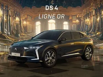 دي إس 4 LIGNE OR
